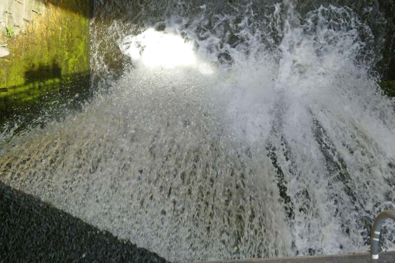 Neuschwanstein juni 2011 - 216